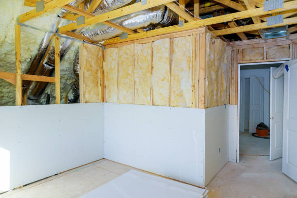Best Home Insulation Services  in Cary, IL