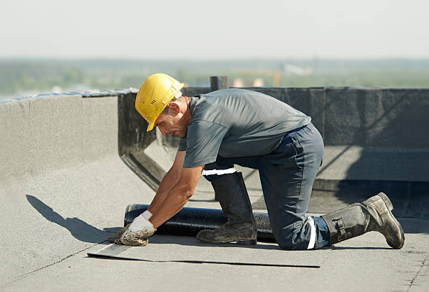 Best Insulation Contractors for Homes  in Cary, IL
