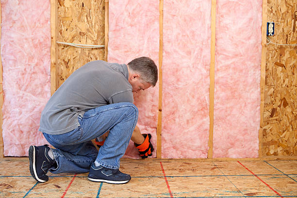 Best Attic Insulation Near Me  in Cary, IL